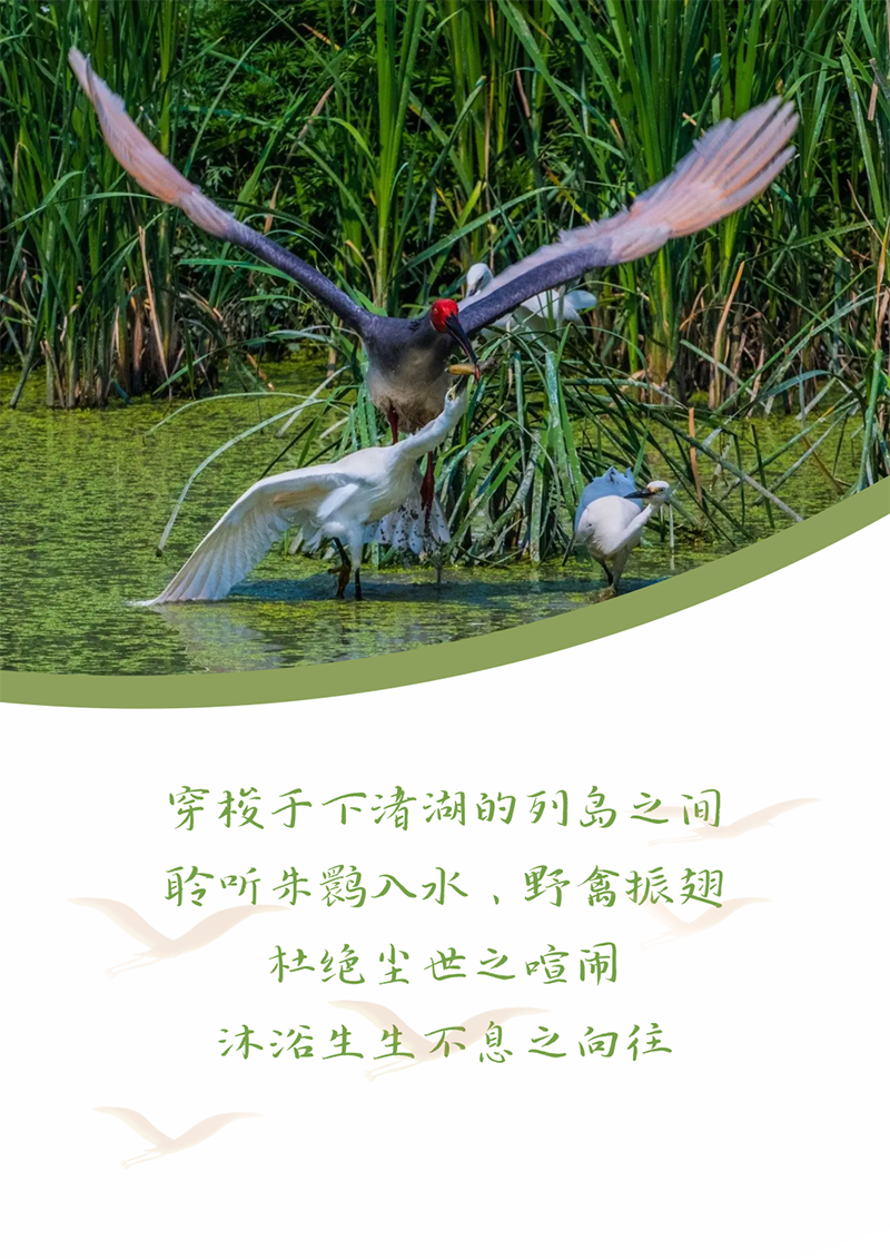 心心念廿 相伴304am永利 | 与德清相约 贺廿载诞辰